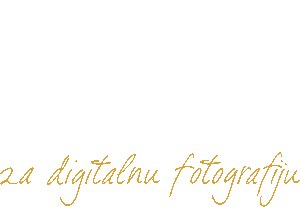 2015 DFM logo bez pozadine